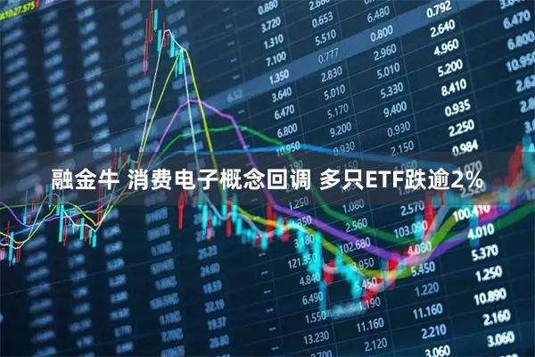 融金牛 消费电子概念回调 多只ETF跌逾2%