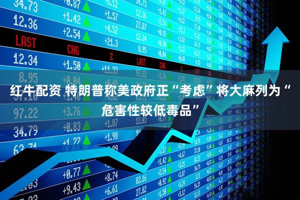 红牛配资 特朗普称美政府正“考虑”将大麻列为“危害性较低毒品”