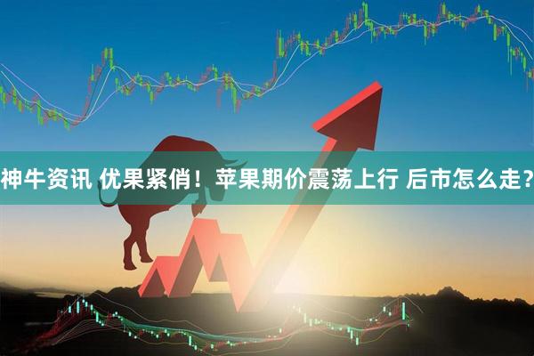 神牛资讯 优果紧俏！苹果期价震荡上行 后市怎么走？